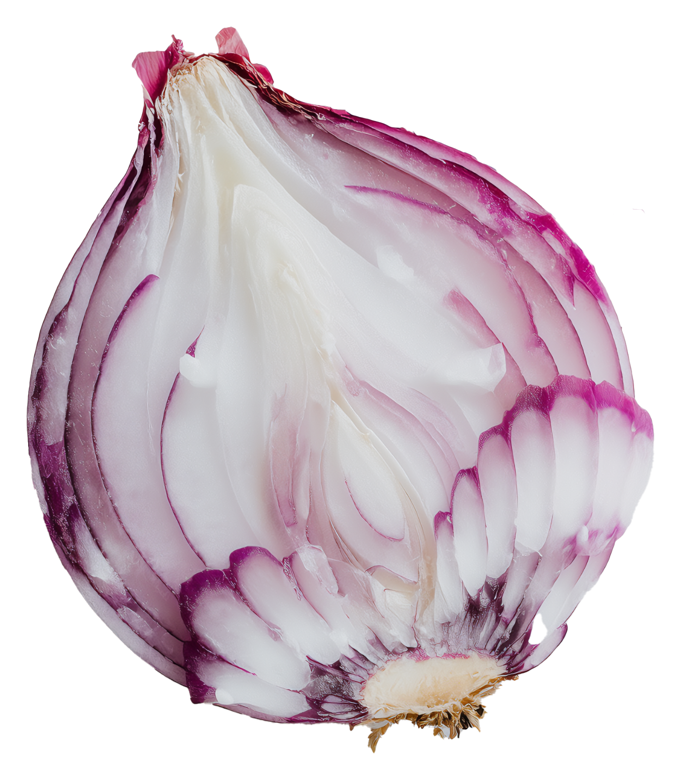 Onion